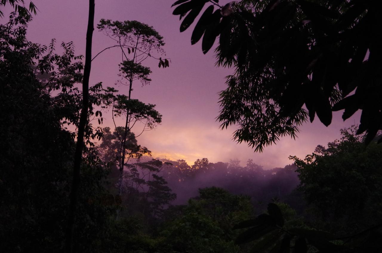Amazonita Ecolodge Dos Brazos Extérieur photo