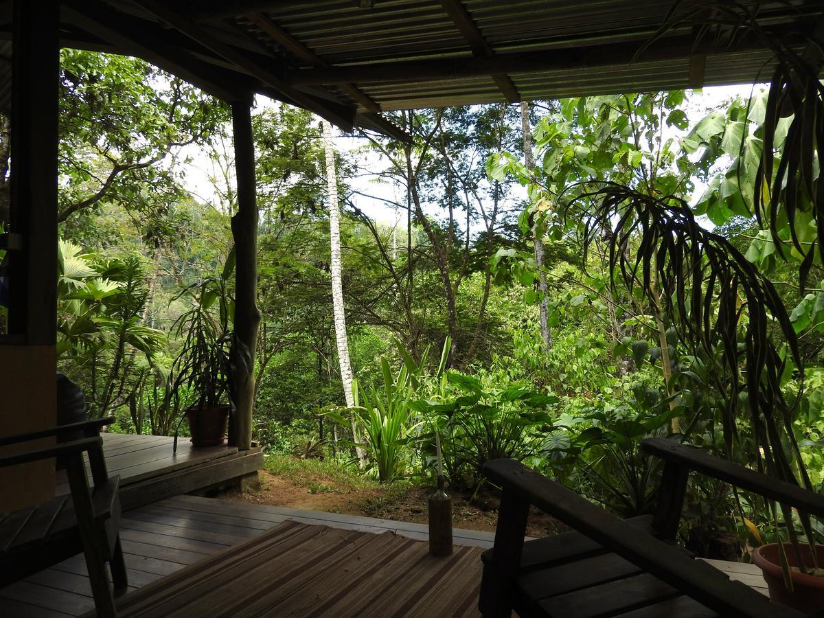 Amazonita Ecolodge Dos Brazos Extérieur photo