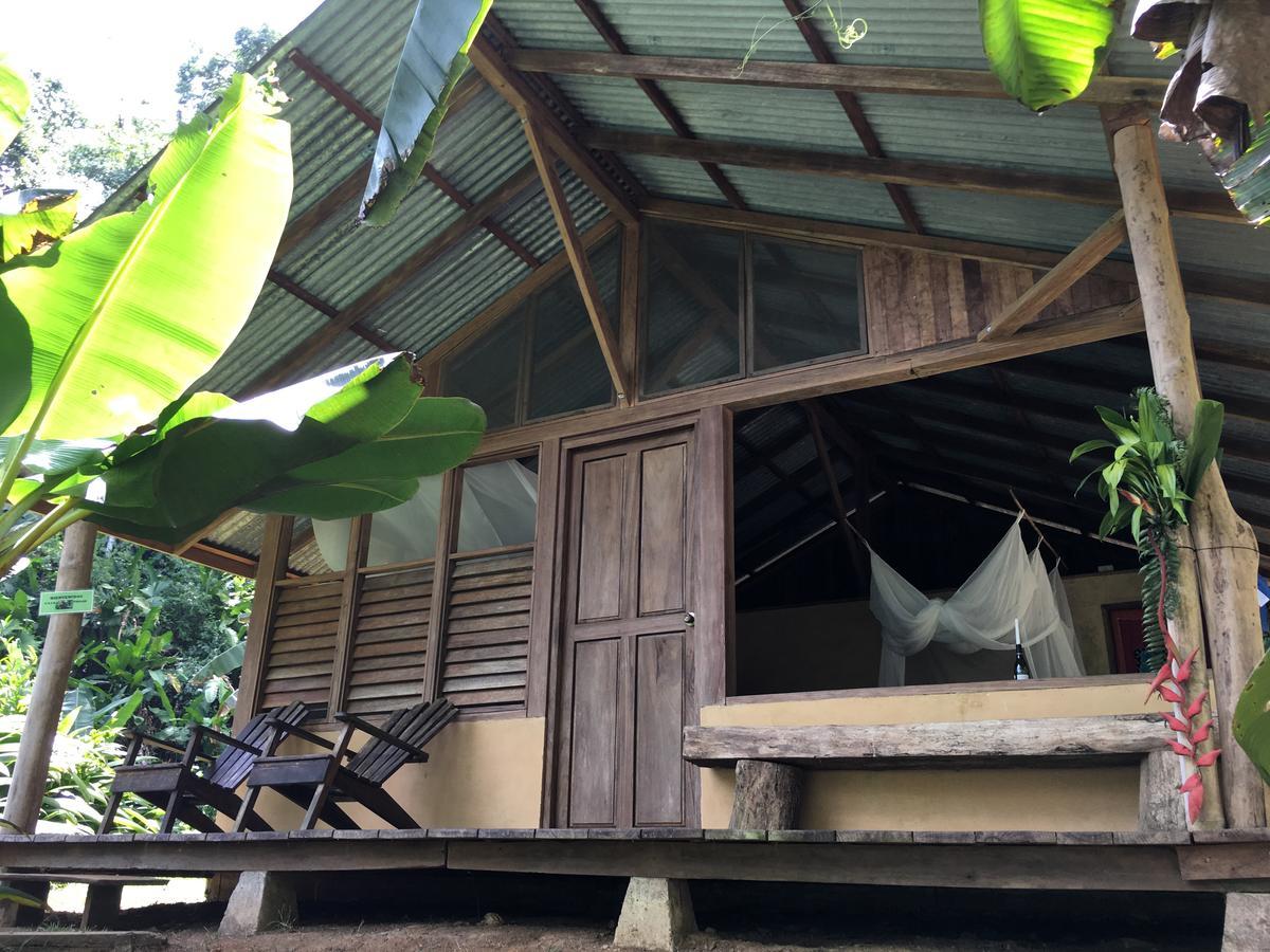 Amazonita Ecolodge Dos Brazos Extérieur photo