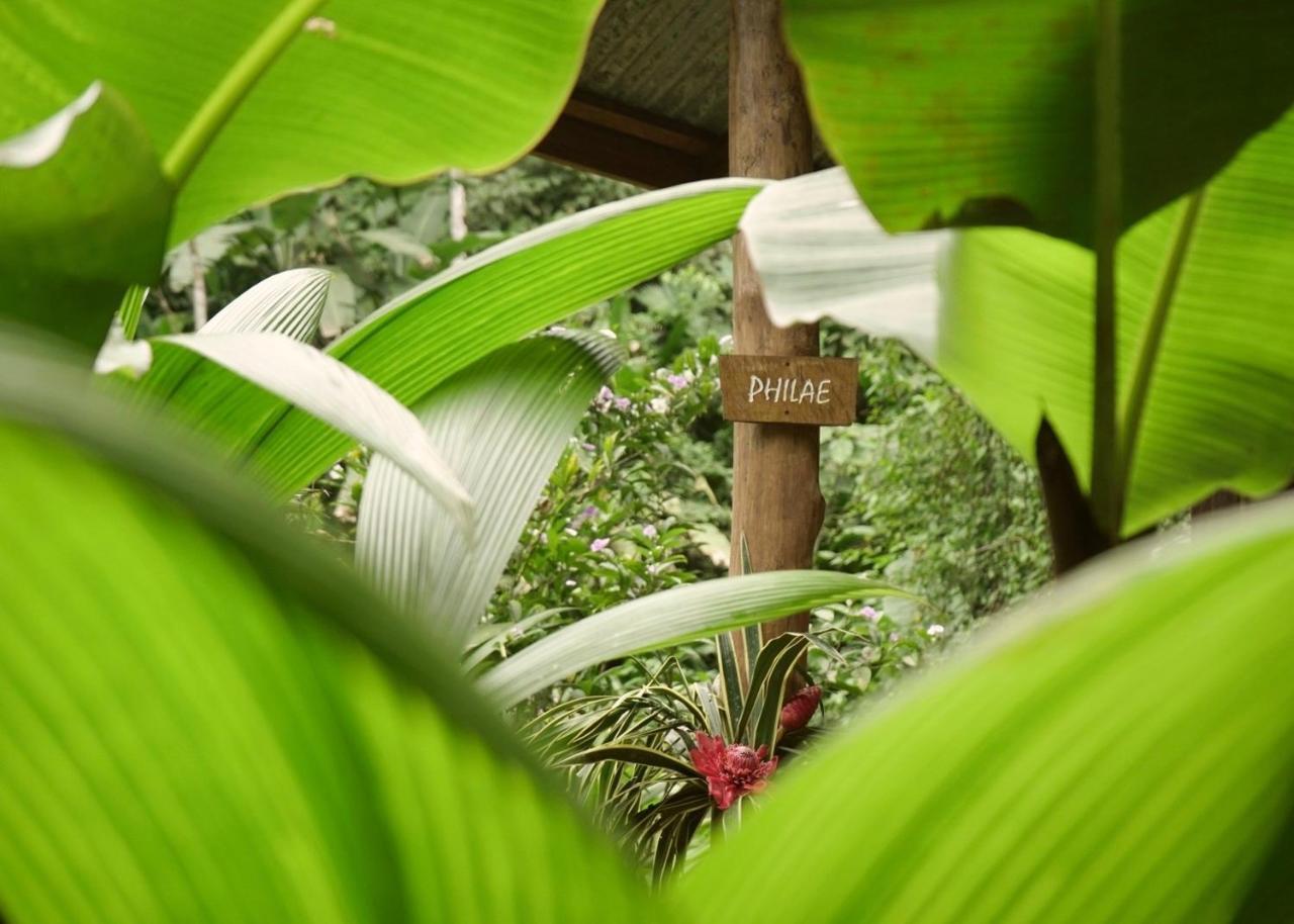 Amazonita Ecolodge Dos Brazos Extérieur photo