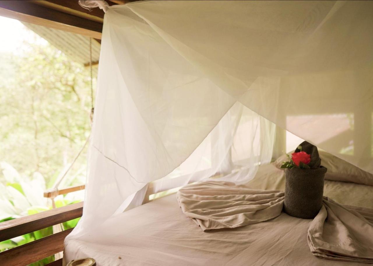 Amazonita Ecolodge Dos Brazos Extérieur photo