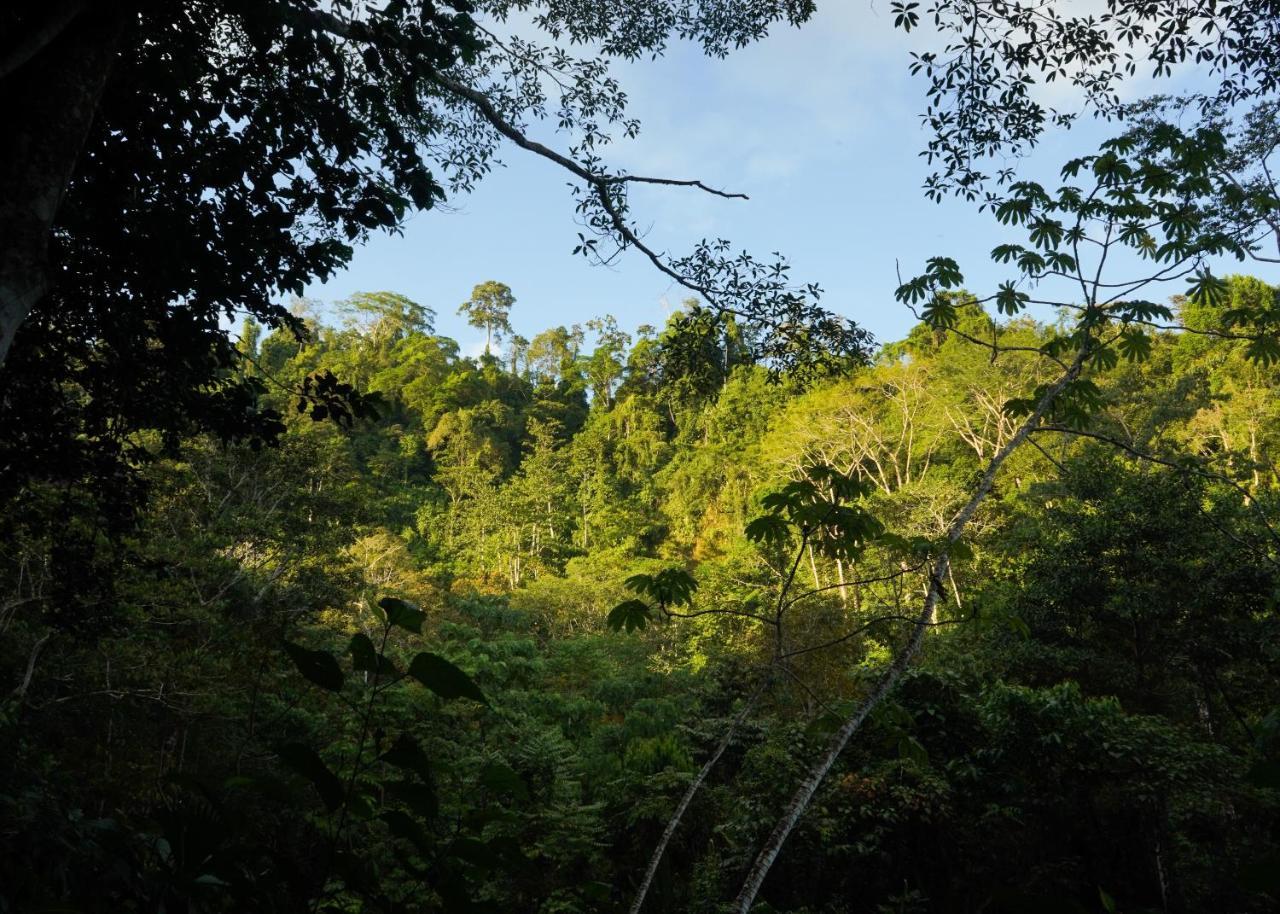 Amazonita Ecolodge Dos Brazos Extérieur photo