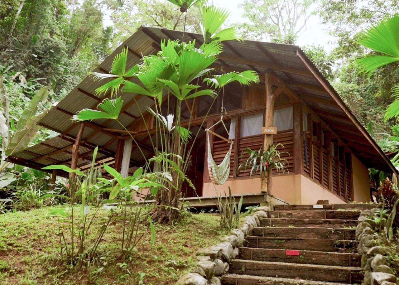 Amazonita Ecolodge Dos Brazos Extérieur photo