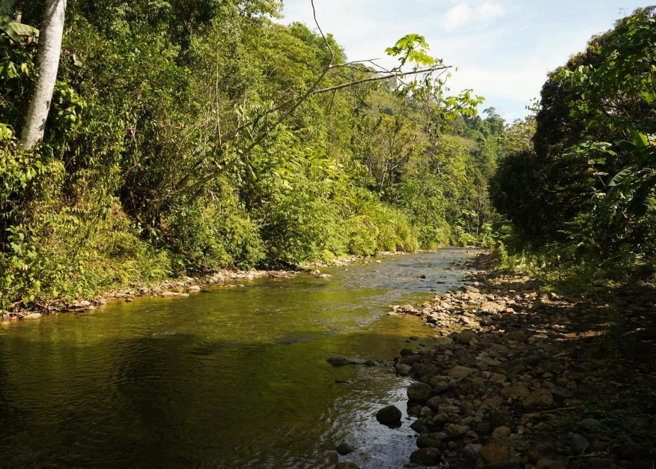 Amazonita Ecolodge Dos Brazos Extérieur photo