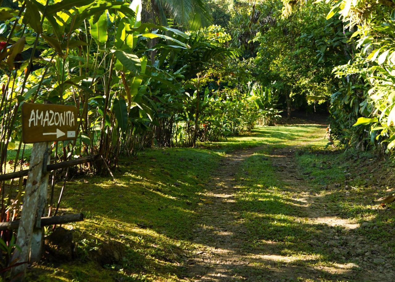 Amazonita Ecolodge Dos Brazos Extérieur photo
